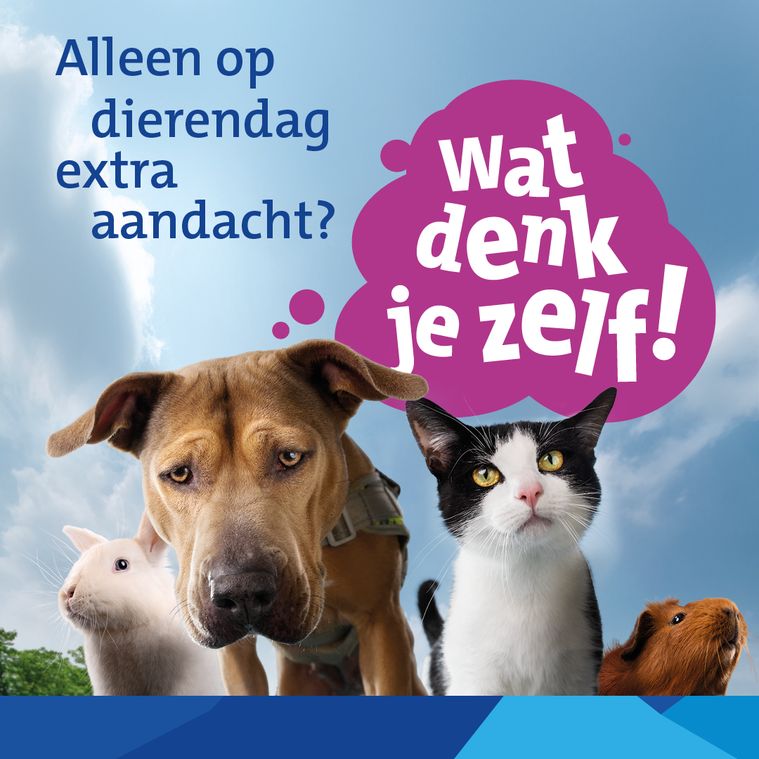 dierendag 2024