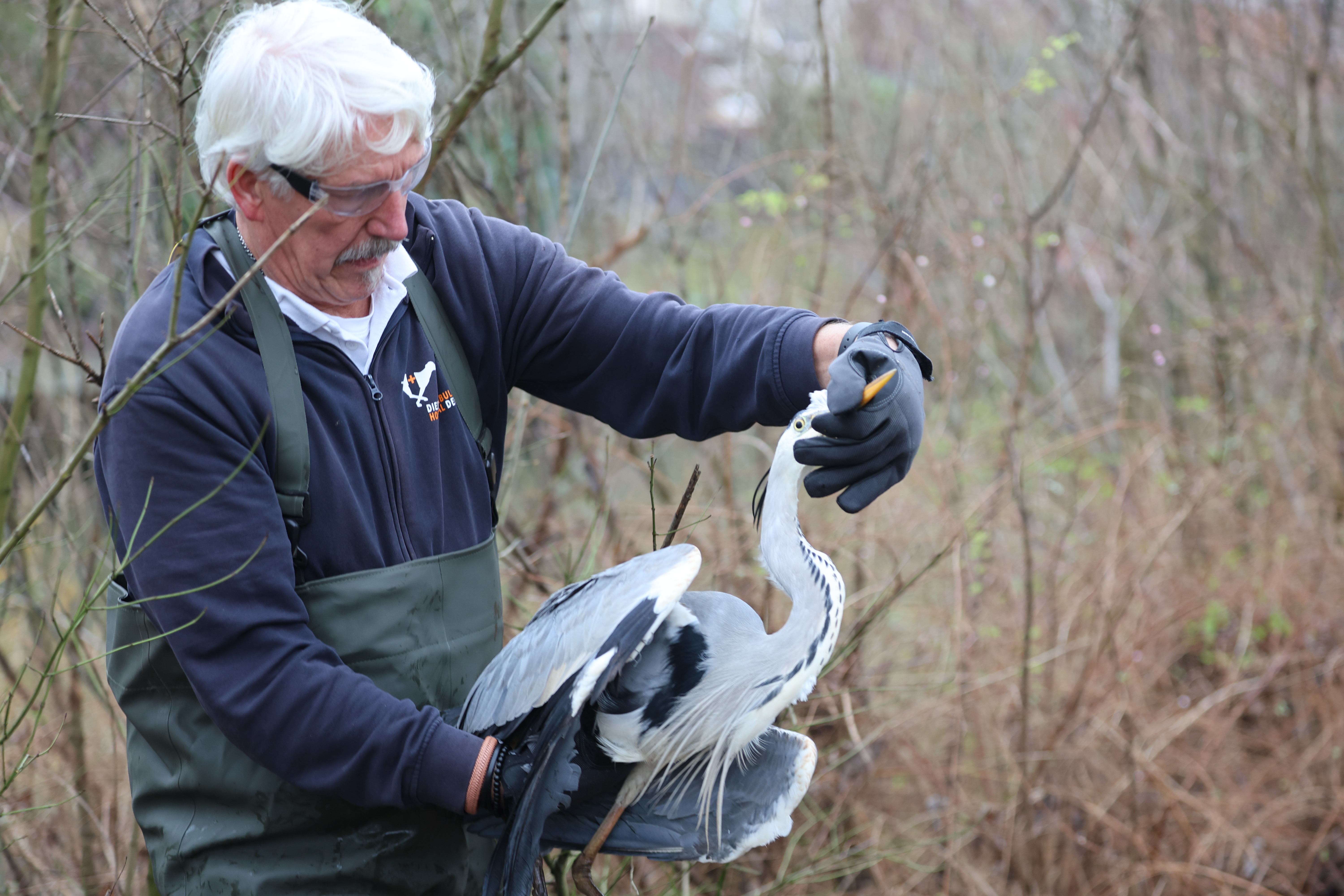 word ambulancechauffeur