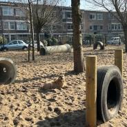 honden speelplek